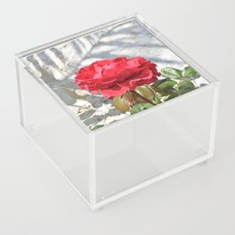 Beautiful and Romantic Red Rose on the beach Acrylic Box