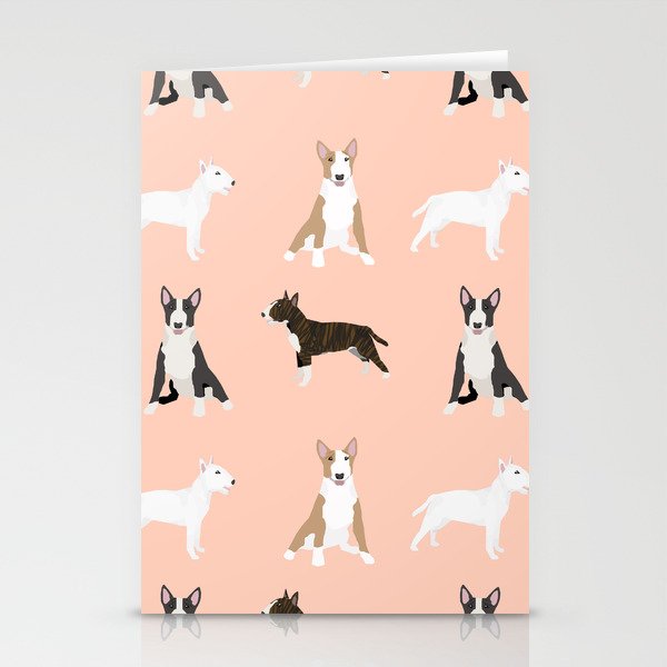 bull terrier stuff