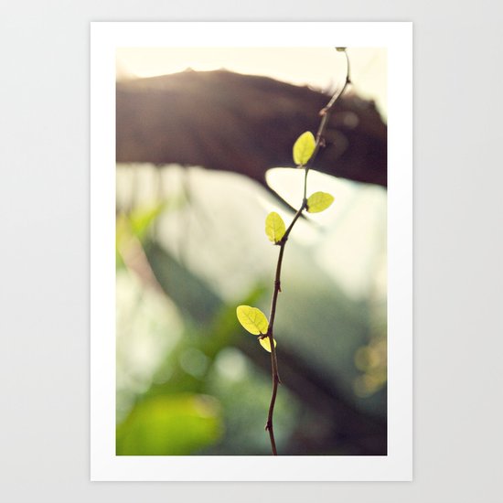 green leaves Art Print