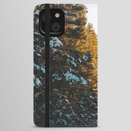Canmore Mountainscape III | Alberta, Canada | Landscape Photography iPhone Wallet Case
