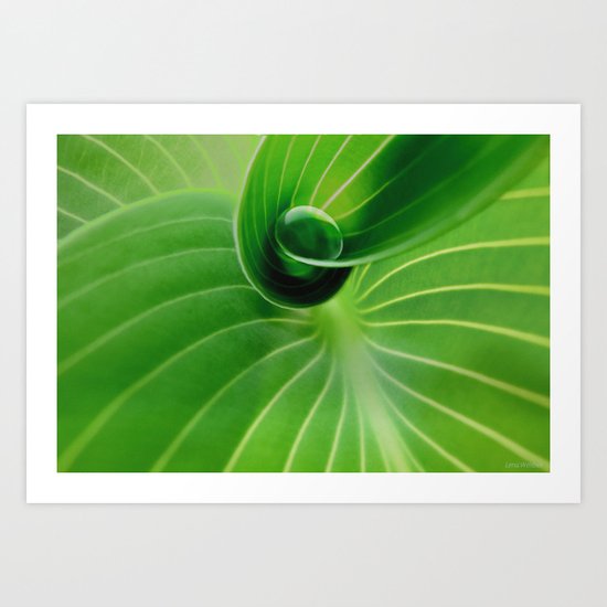 Leaf / Hosta with Drop (2) Art Print