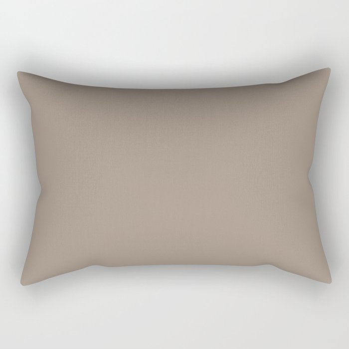 Medium Earthy Gray-Beige Single Solid Color Coordinates with PPG Roasted Chestnut PPG15-30 Rectangular Pillow