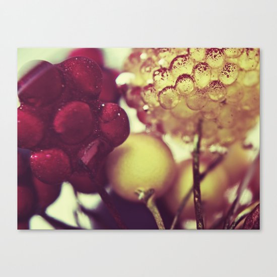 :: berries :: Canvas Print