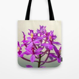 Epi Pretty Lady Misumi Orchid Flowers Tote Bag