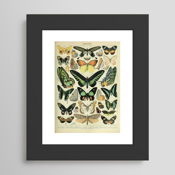 Framed Art Print