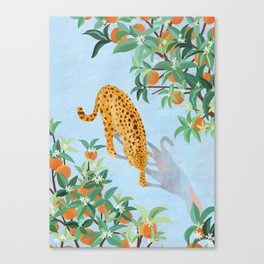 Leopard and Orange Trees Canvas Print
