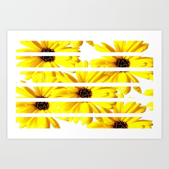 Yellow Mellow Daisies with White Stripes Art Print