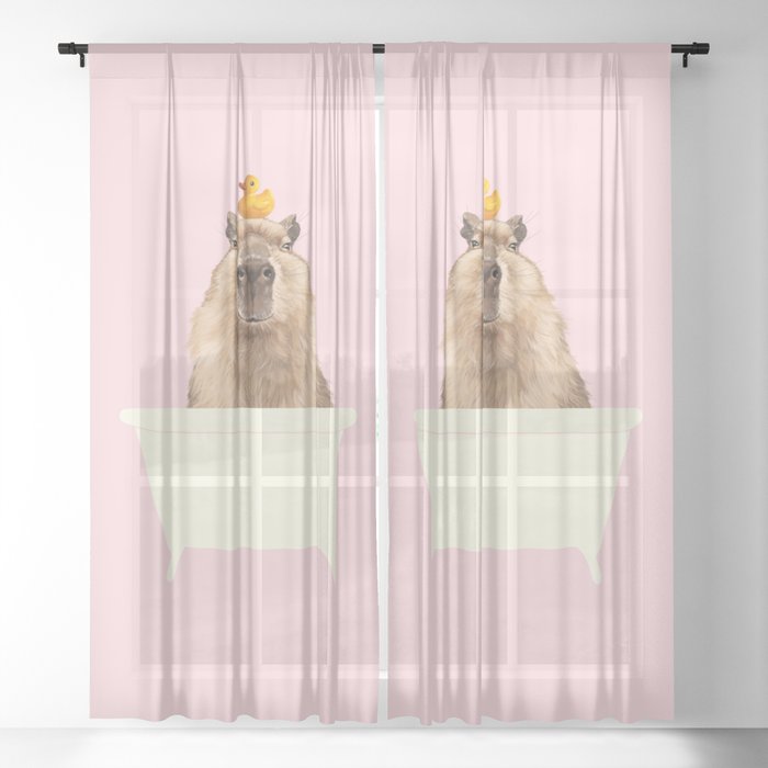 Sheer Curtain