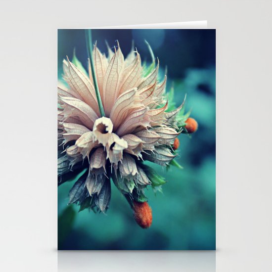 Spring Flower 10 Stationery Cards