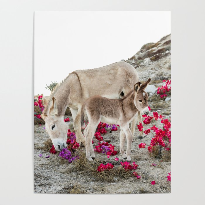 Baby Donkey and Mama Donkey in the Field of Flowers Poster