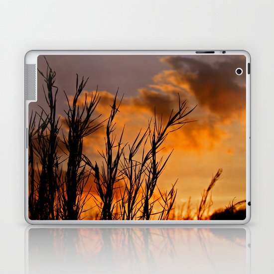 Almost Gone Laptop & iPad Skin