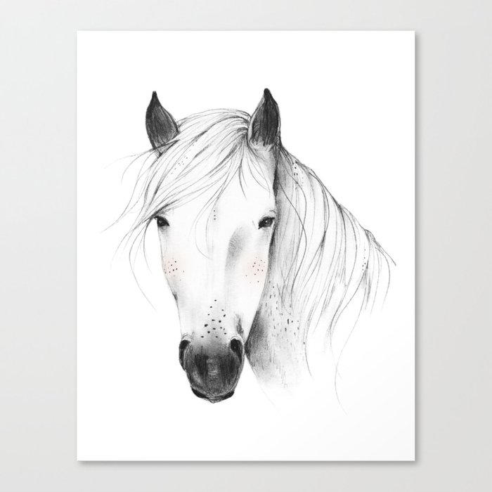 WILD HORSE Canvas Print