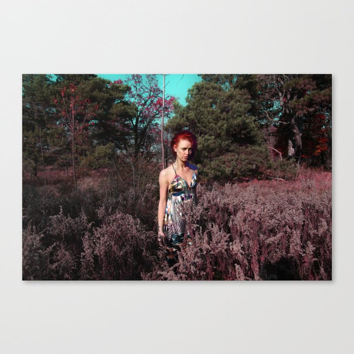 PINK FROST 3 Canvas Print