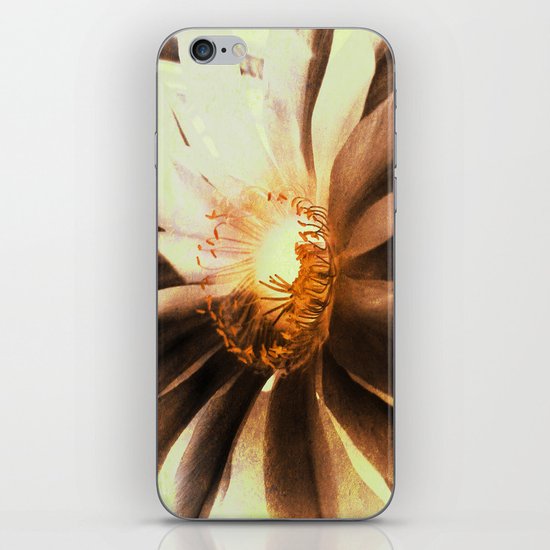 Kaktus Flower iPhone & iPod Skin
