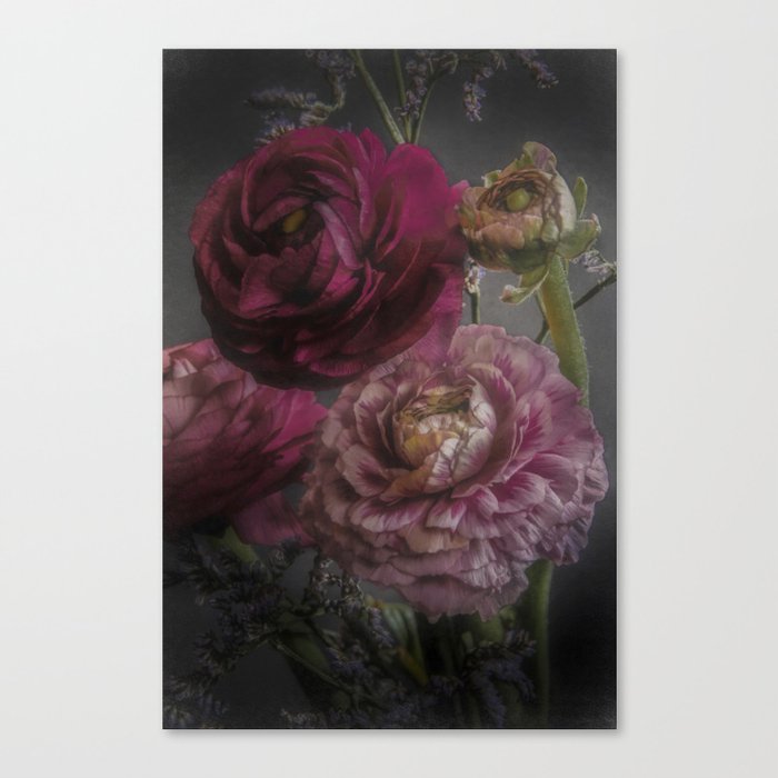 Ranunculus and Romance Canvas Print