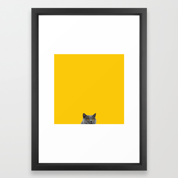 British Short Haired Cat Saffron Yellow Home Decor Pet Lovers Art
