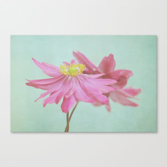 windflowers Canvas Print