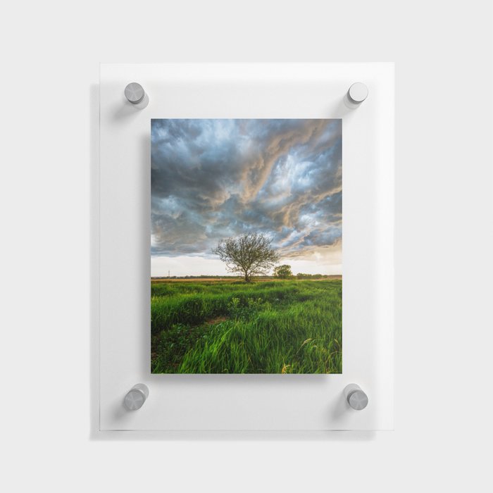 Stormy Day on the Plains - Tree Under Stormy Sky on Spring Day on the Plains of Kansas Floating Acrylic Print