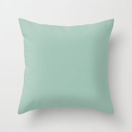 Mint Green Color Throw Pillow