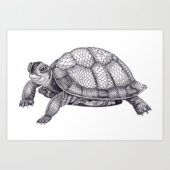 Turtle Pattern Art Print