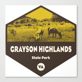 Grayson Highlands State Park Virginia Canvas Print