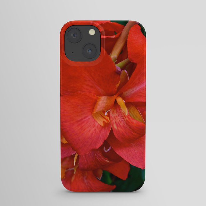 Love Blossoms iPhone Case