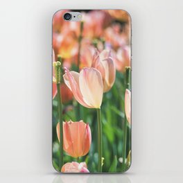 Peach Tulips  iPhone Skin