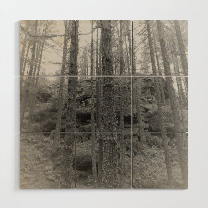 Woods In Black And White Wood Wall Art By Merlota40 Society6