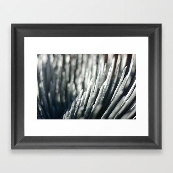 SILVERSWORD Framed Art Print