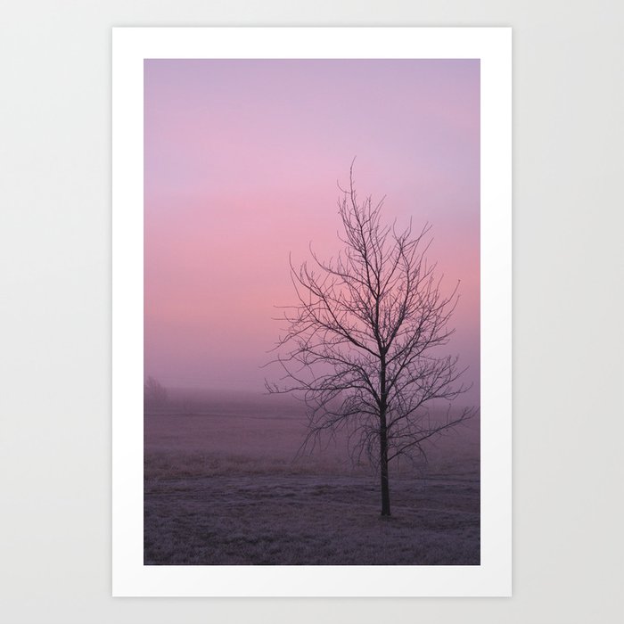 winter tree Art Print