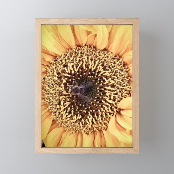 Sunflower and bee Framed Mini Art Print