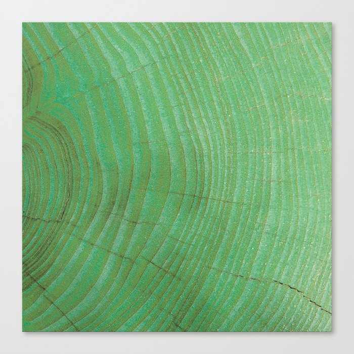 Green wood Canvas Print