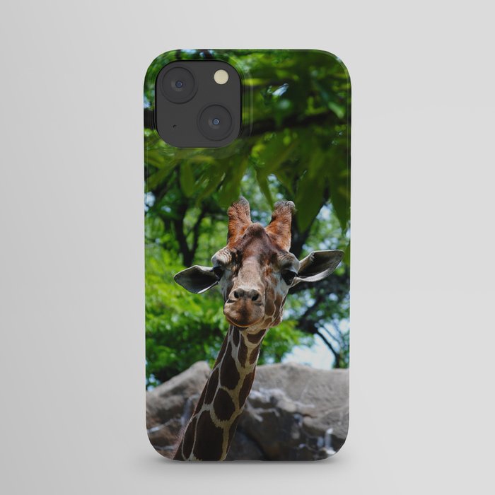 At the Zoo iPhone Case