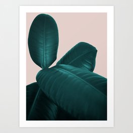 Ficus Elastica #4 #art #society6 Art Print | Color, Plant, Digital, Rubberbush, Digitalmanipulation, Spring, Photo, Rubberfig, Green, Pastelpink 