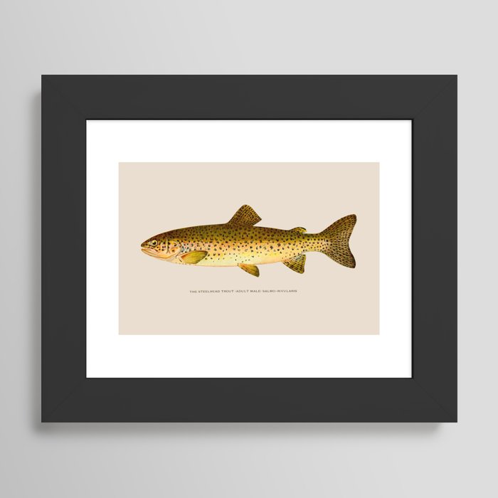 Framed Art Print