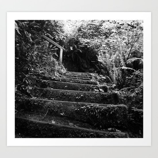 The Woodland Stair Art Print