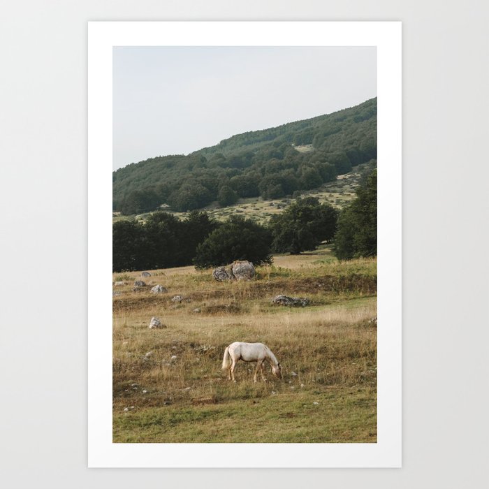 Horse | Nature and Landscape Photography Art Print
