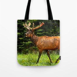 Elk Wildlife Tote Bag