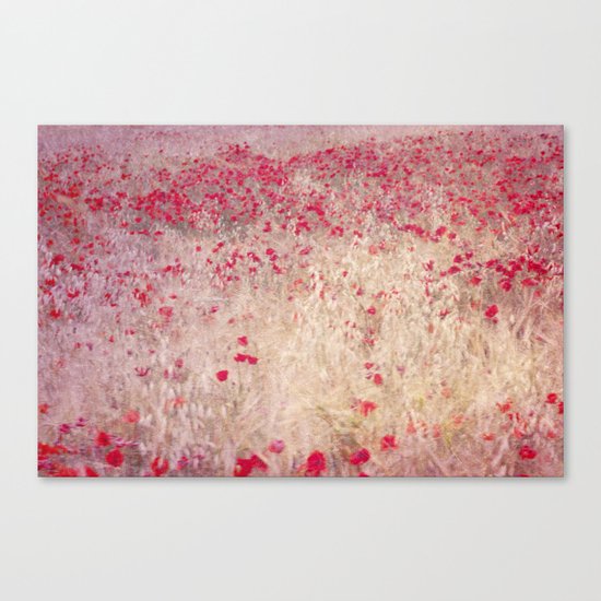 Fields of poppies Canvas Print