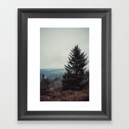 Lonely tree Framed Art Print