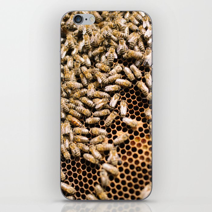 beekeeping composition no.1 iPhone Skin