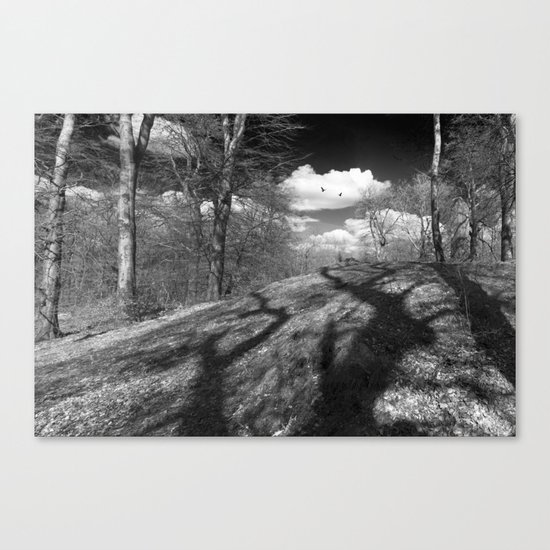 Carrion Canvas Print