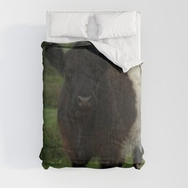 Belted Galloway Cow Comforter | Gallowaycow, Whitebelt, Photo, Cow, Pandacow, Gallowaycattle, Oreo, Black, Cattle, Beltedgallowaycow 