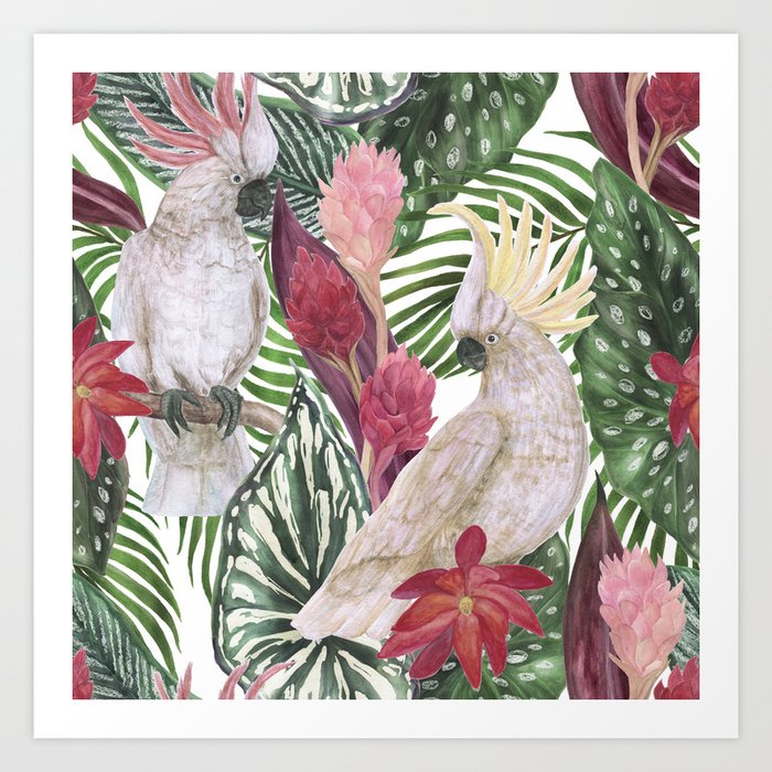 Tropical Jungle Cockatoo Birds Botanical Art Print