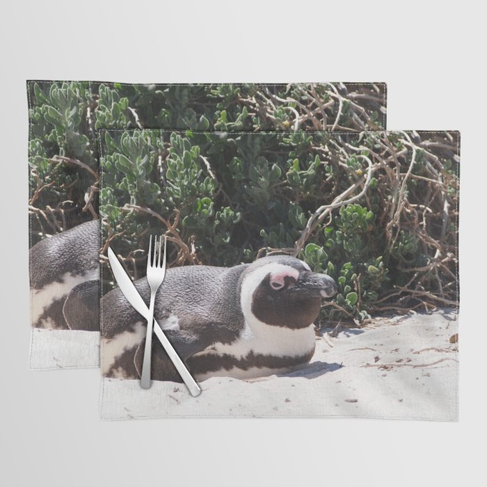 South Africa Photography - Penguin Laying At The Beach Placemat