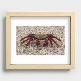 Crab sand Recessed Framed Print