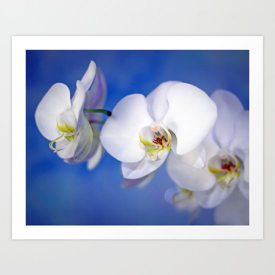 Whisper Art Print