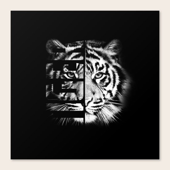 Tiger Canvas Print