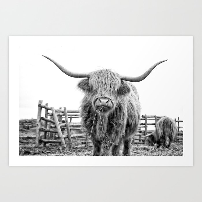 Highland Cow in a Fence Black and White Art Print