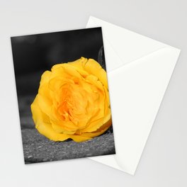 Golden Rose Stationery Cards